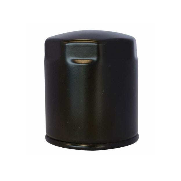 Filtro Gasolio Adattabile Lombardini Rif. 2175.045