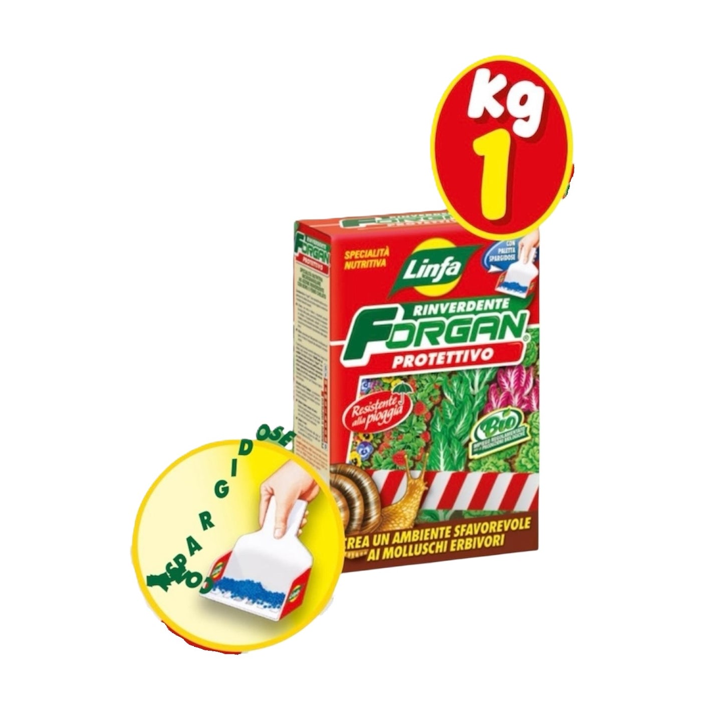 Forgan Kg 1 Specialità Nutritiva Microgranulare ad Azione Rinverdente con Boro e Ferro Chelato Linfa