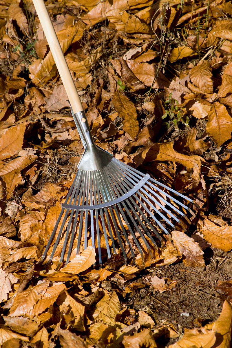 Rastrello Regolabile per Fogliame 22 Denti in Acciaio Zincato Stocker