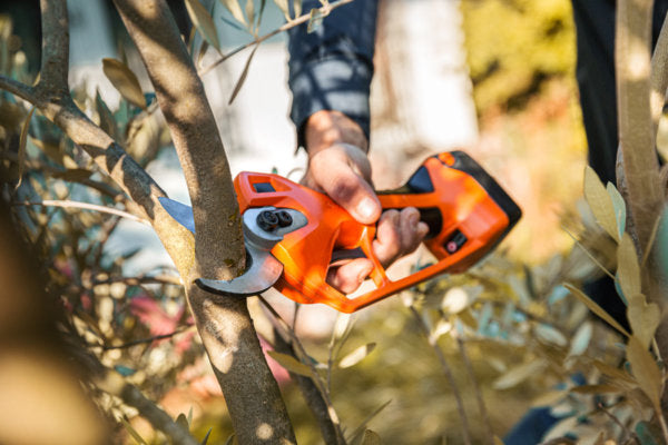 Forbice Titania E-40 TP Automatica 2 Modalità di Taglio Stocker