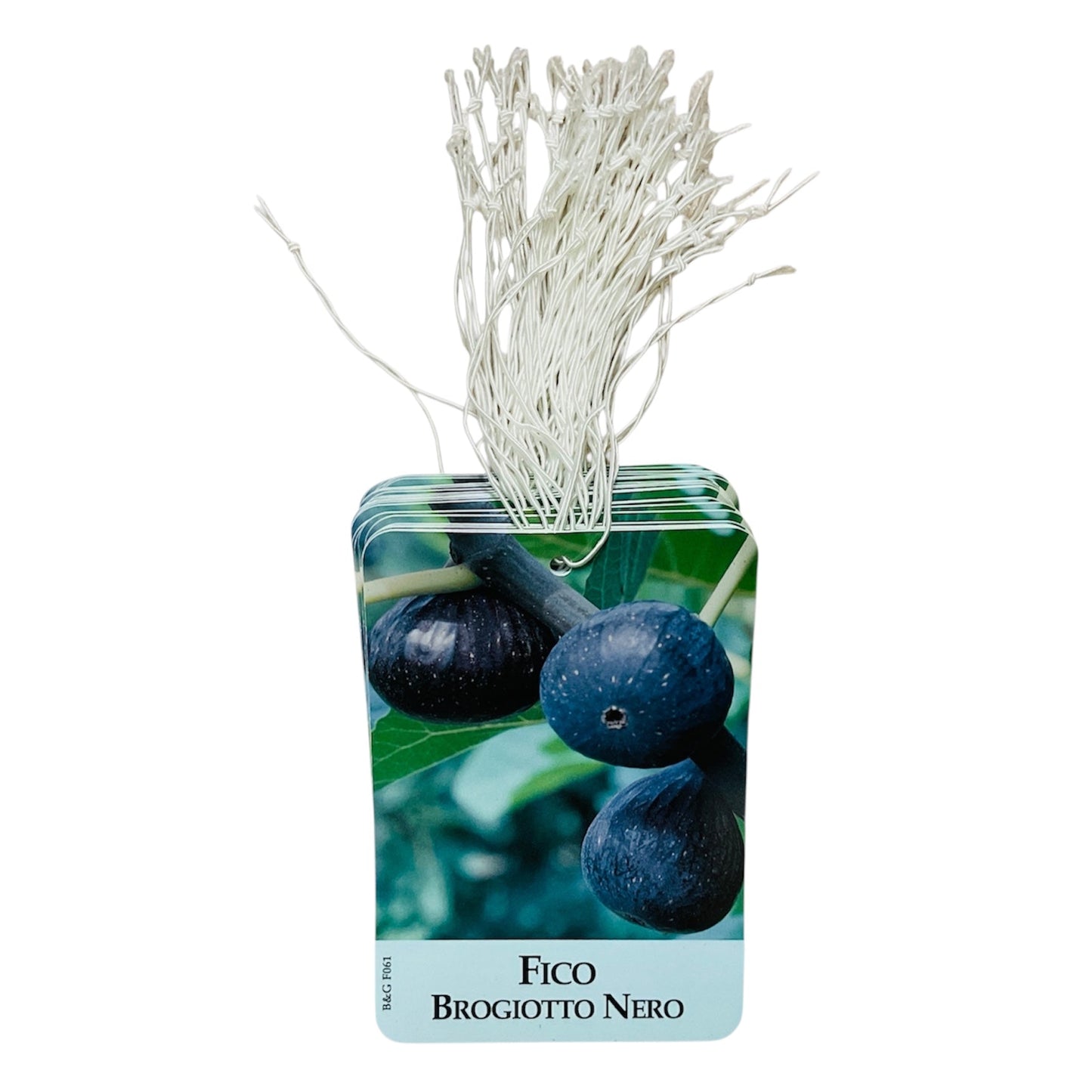 Etichette Fico Brogiotto Nero dim.8x11,5 cm. - 50 pz. Felga Etichette