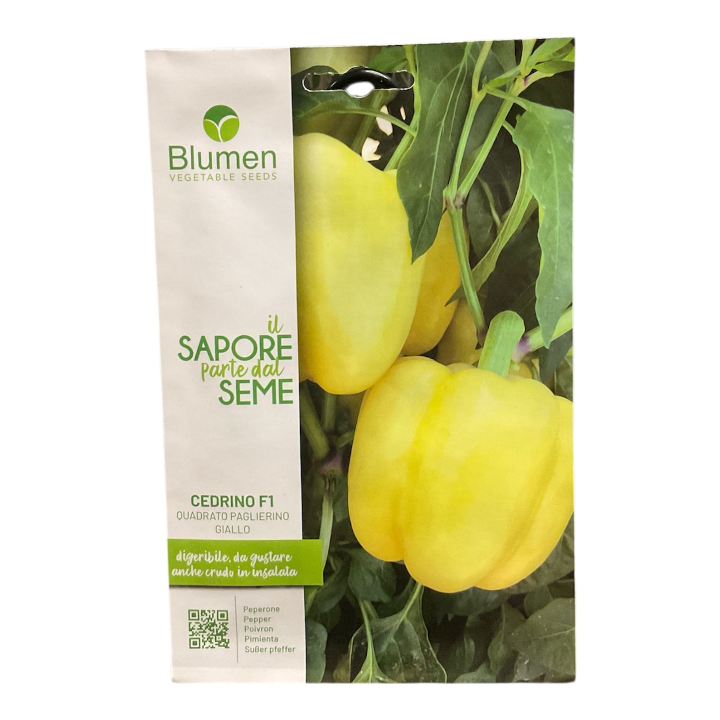 Peperone Cedrino F1 Quadrato Paglierino Giallo Semi Blumen