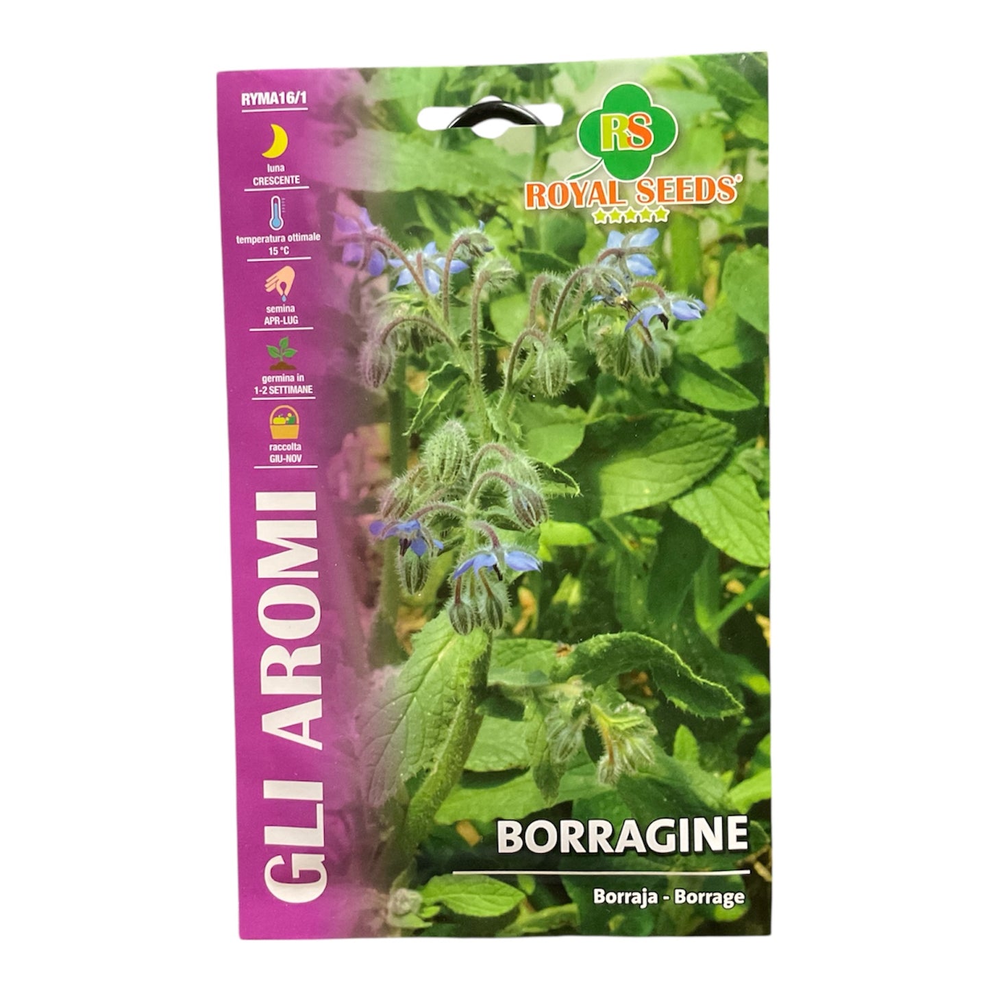 Borragine Pianta Officinale Semi Royal Seeds