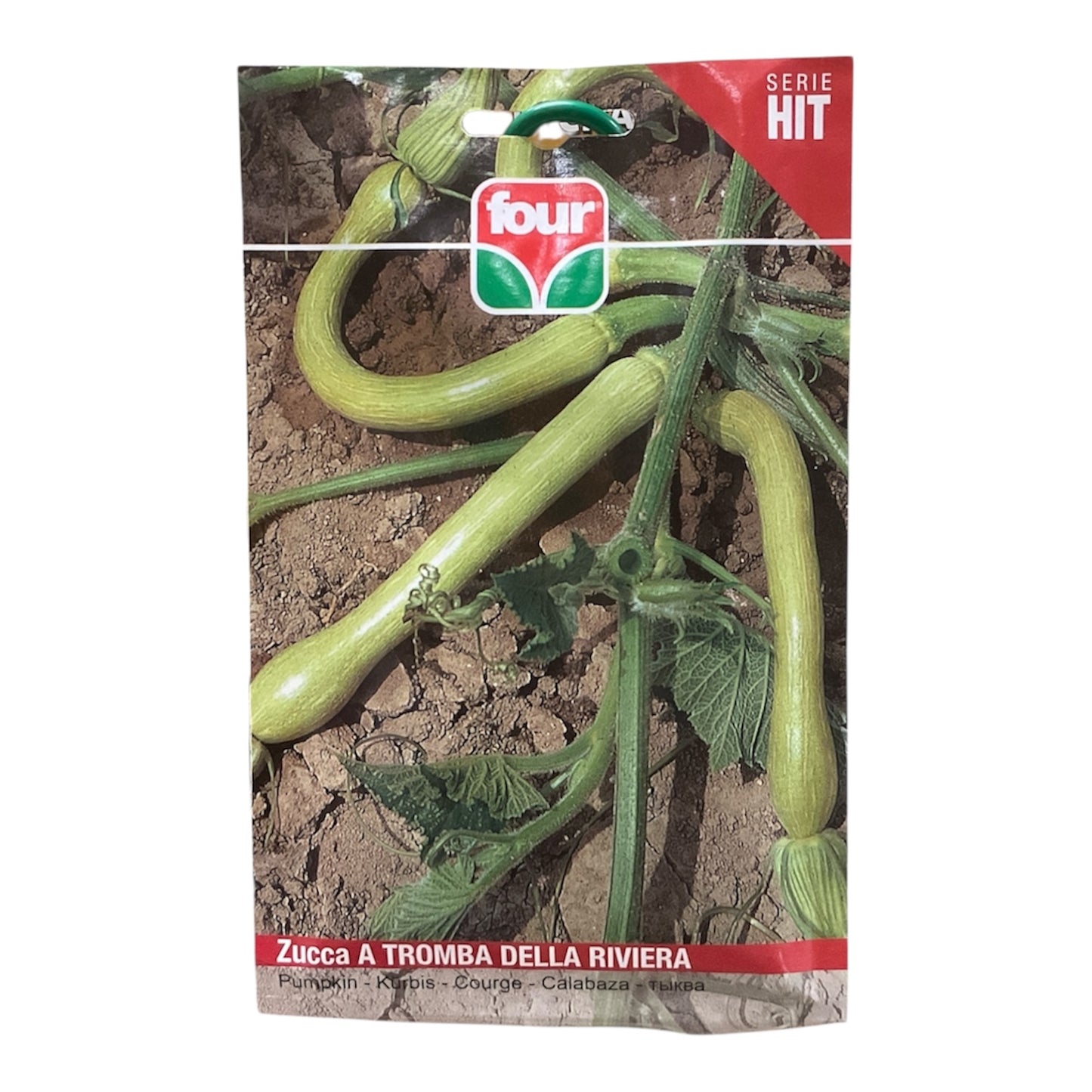 Zucca a Tromba della Riviera Semi Four