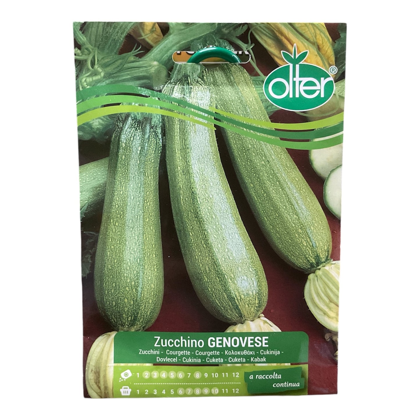 Zucchino Genovese Semi Olter