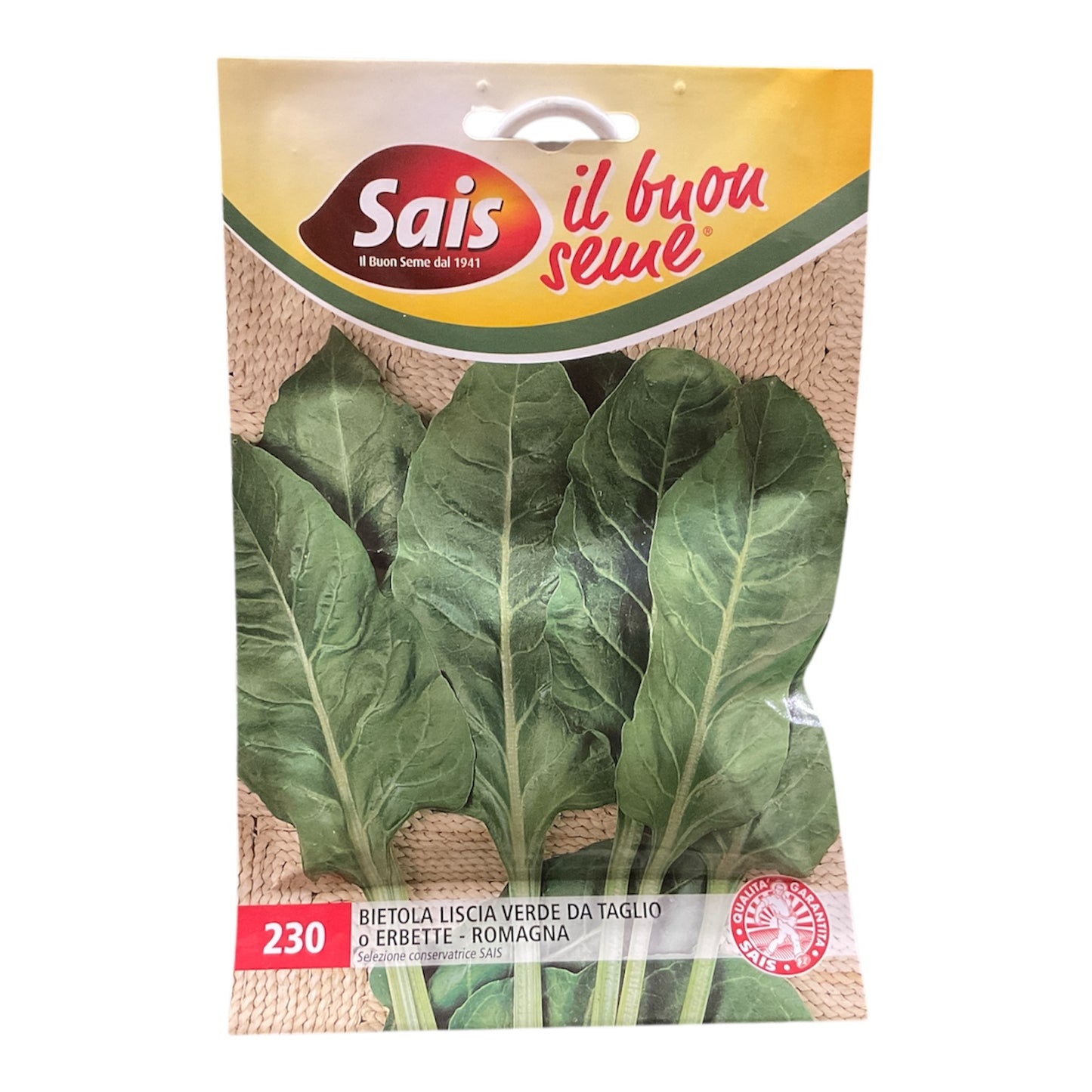 Bietola Liscia Verde da Taglio o Erbette-Romagna Semi SAIS