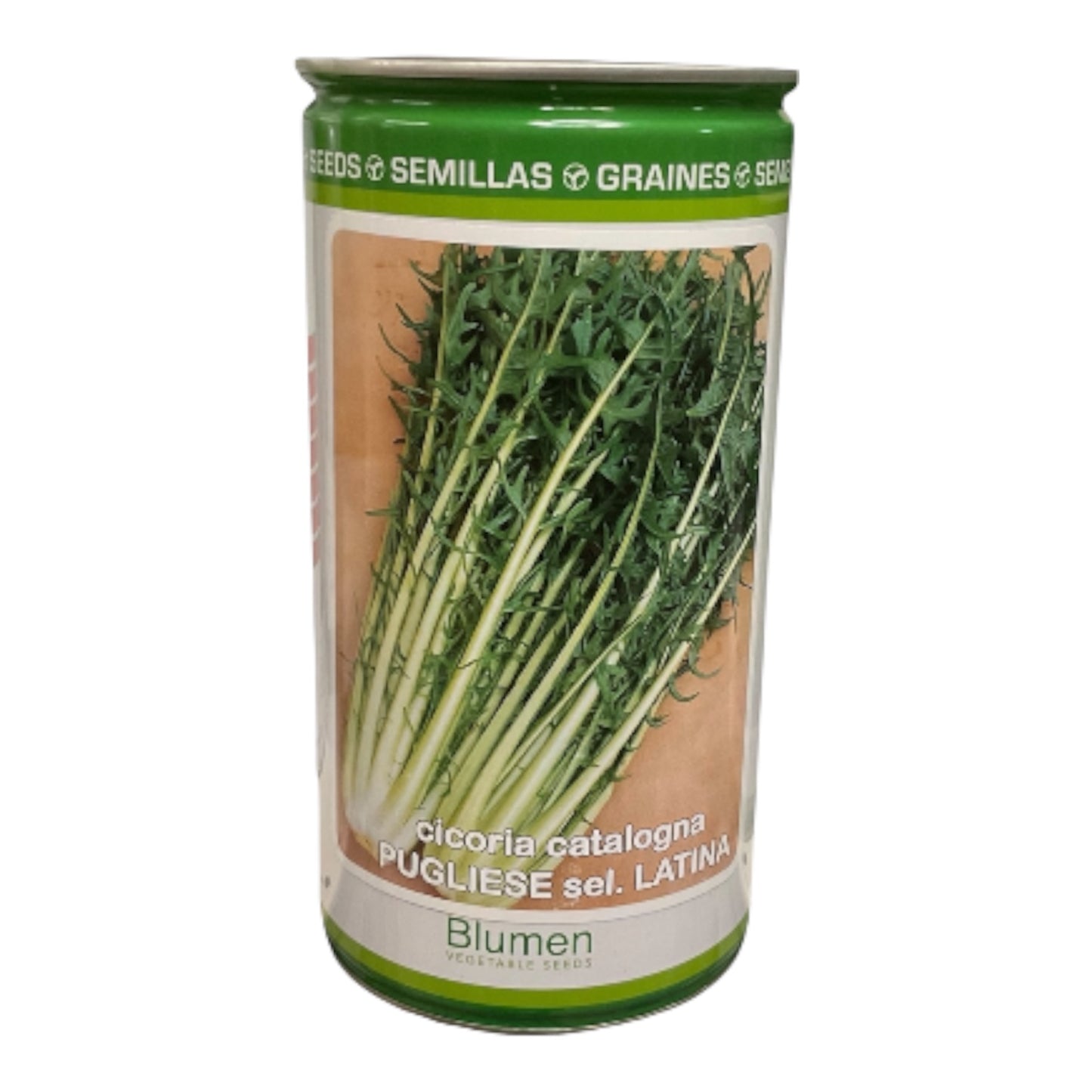 Cicoria Catalogna Pugliese sel. Latina gr.500 Semi Blumen
