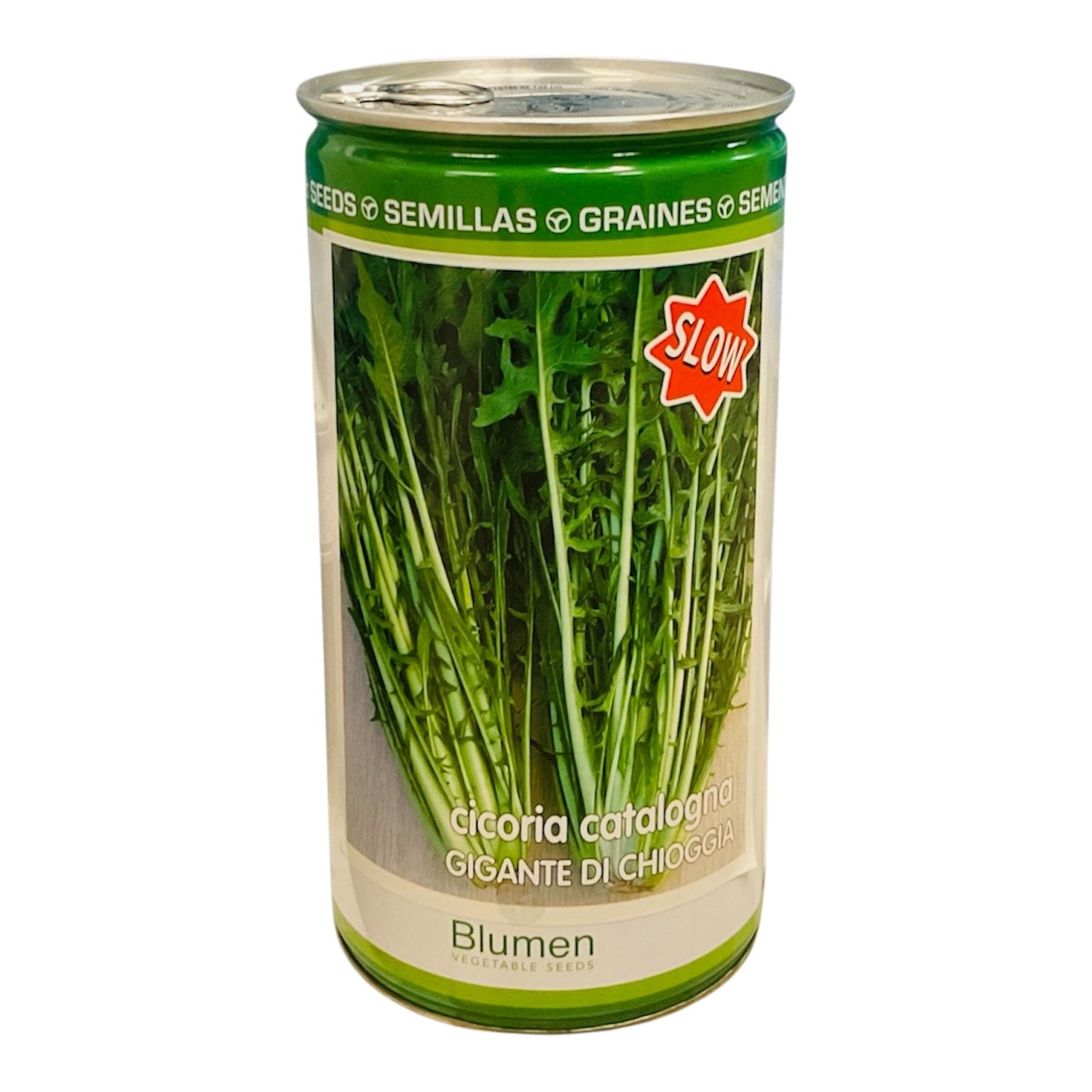 Cicoria Catalogna Gigante di Chioggia gr.500 Semi Blumen