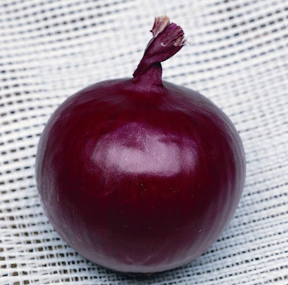 Cipolla Tropea Rossa Tonda-Record gr.500 Semi SAIS