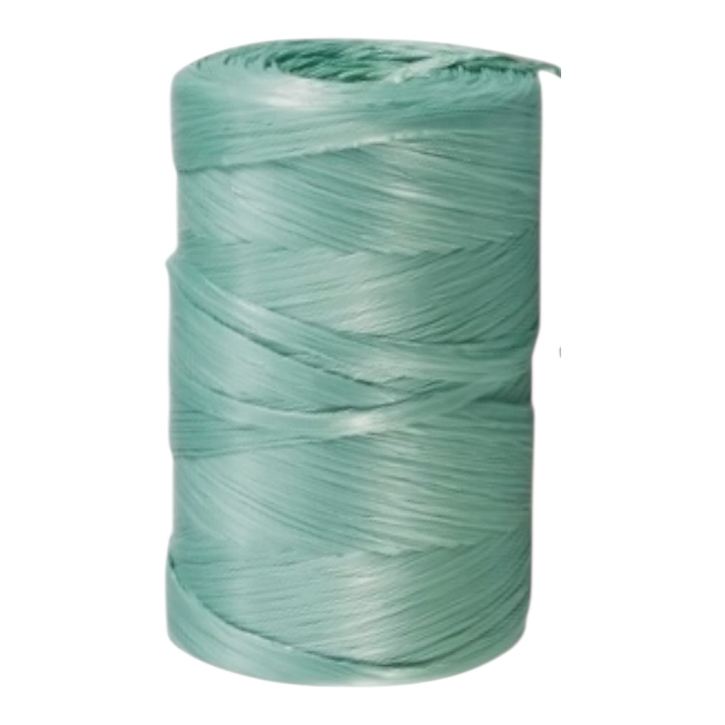 Rafia Sintetica 200 gr per Legature Decorazioni