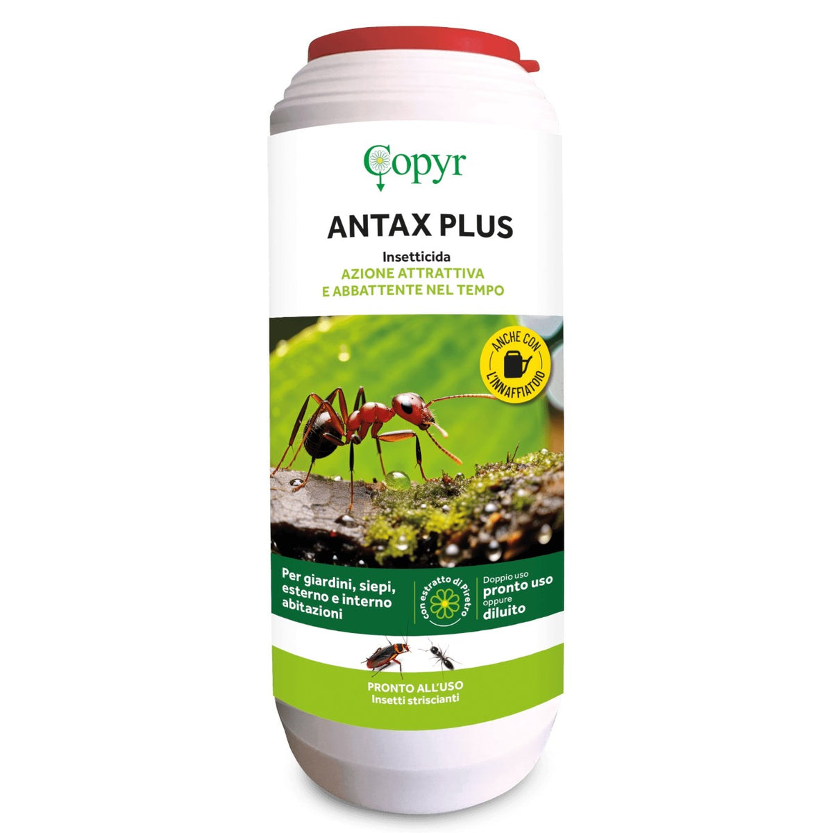 Antax Plus PY CIPERTRIN G Kg 1 insetticida Attrattivo Abbattente Insetti Striscianti Copyr