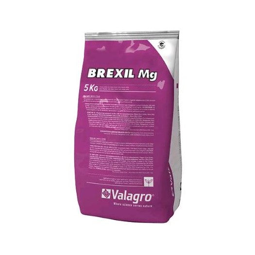 Brexil Mg Kg 5 Microelementi Complessati per la Carenza di Magnesio Syngenta