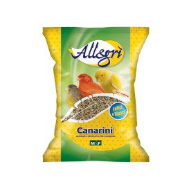 Canarini Kg.4