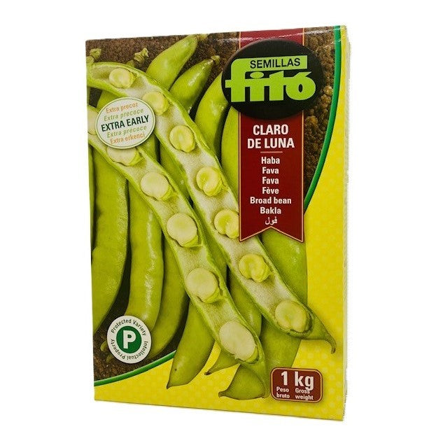Fava Claro De Luna Kg 1 Semi Fito