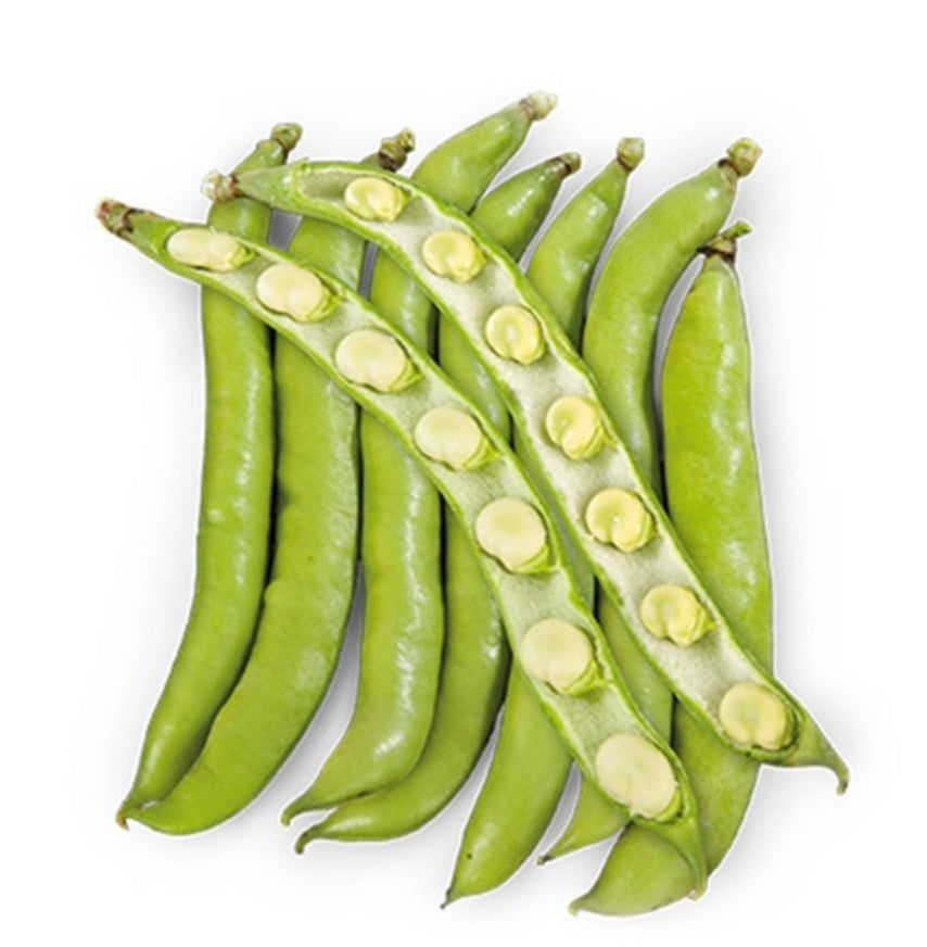 Fava Claro De Luna Kg 1 Semi Fito