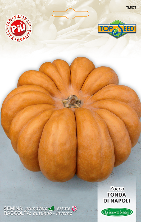 Zucca Tonda di Napoli Semi La Semiorto Sementi