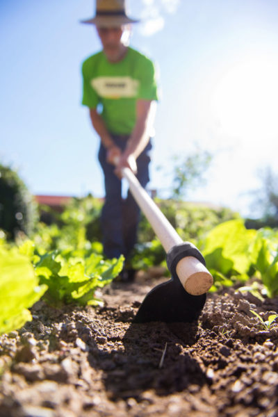 Zappa Occhio Tondo gr.1000 in Acciaio Forgiato Stocker
