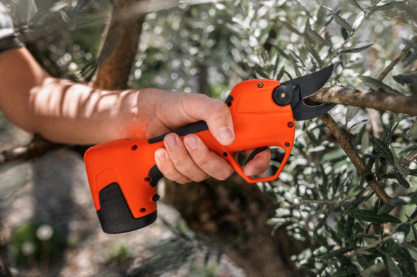 Forbice Vulcano E-25 TR Automatica Dotata di 2 Batterie Li-Ion Ricaricabili Stocker