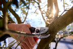 Forbice Giardino Bypass 19 con Lame Cromate Stocker