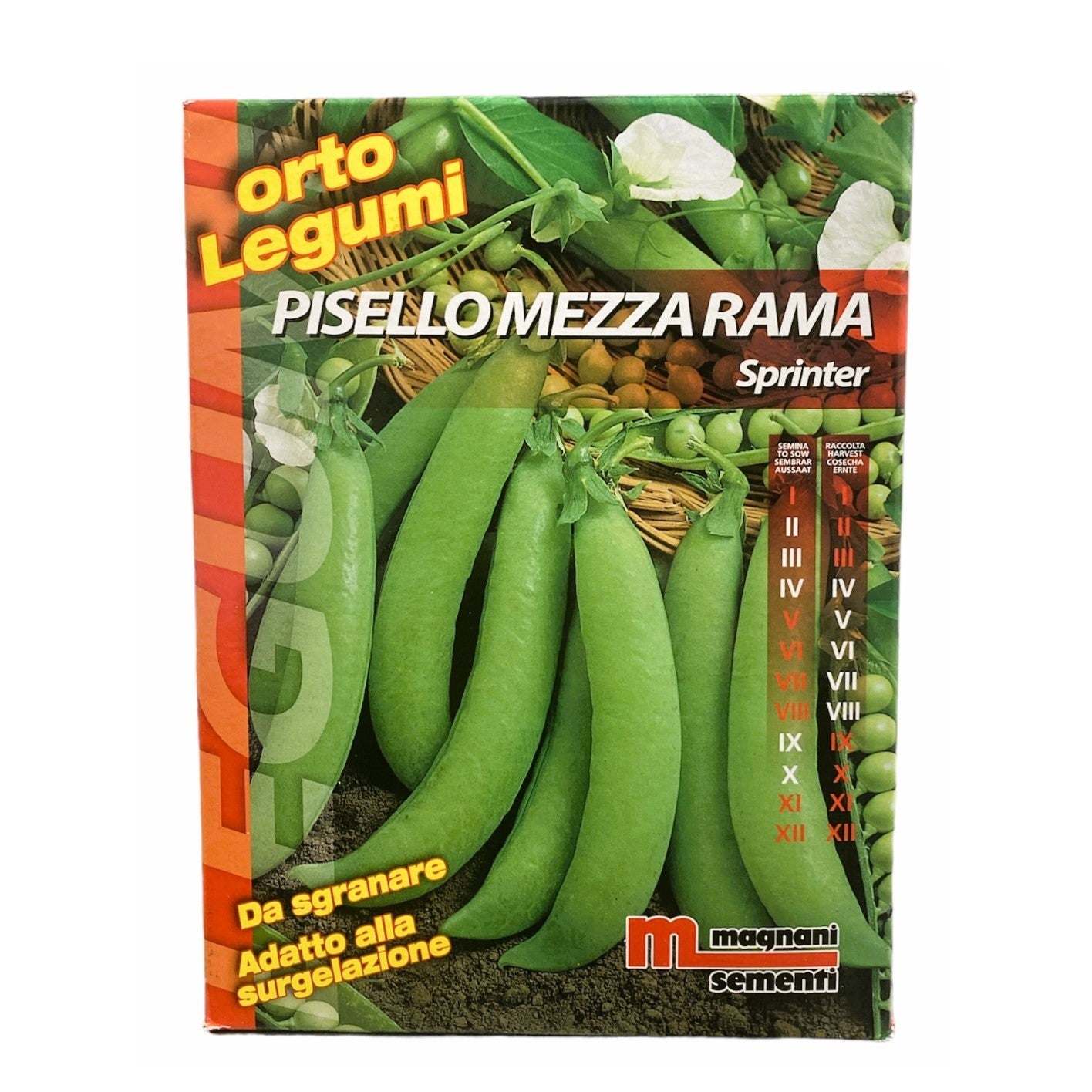 Pisello Mezza Rama Sprinter Kg.1 Semi Magnani Sementi