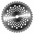 Disco per Decespugliatore con Placchette In Tungsteno 40 Denti d 255x 25,4 Ama