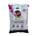 Torfy Terriccio Specifico per Orchidee Lt 3 Cifo