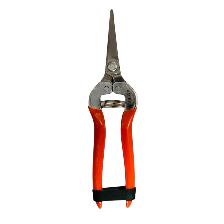 Forbice Cogliuva Leggera Lunga Inox 19 F.lli Daprile