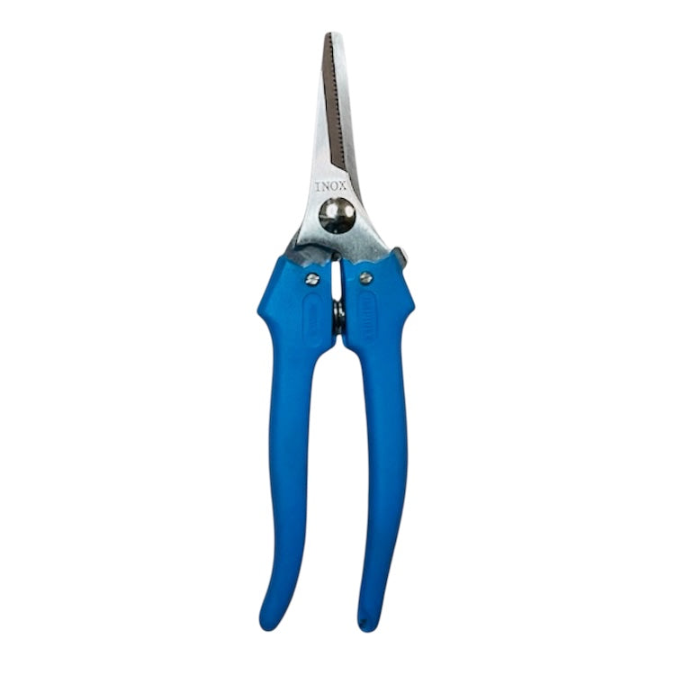 Forbice Cogliuva Inox Grande Stretta 19 F.lli Daprile