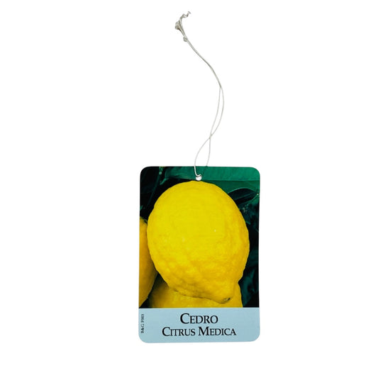 Etichette Cedro Citrus Medica dim.8x11,5 cm. - 50 pz. Felga Etichette