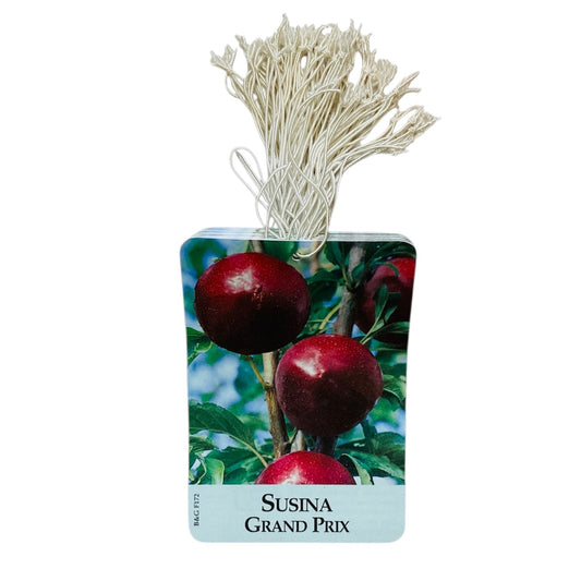 Etichette Susina Grand Prix dim.8x11,5 cm. - 50 pz. Felga Etichette