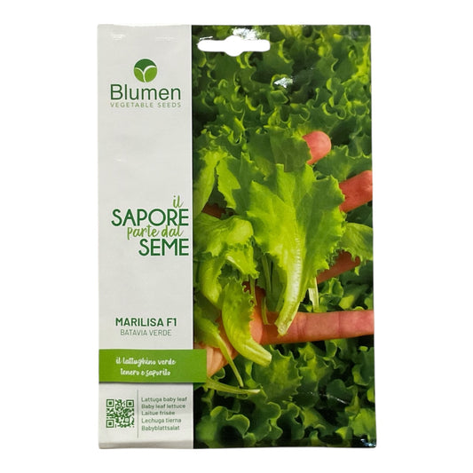 Lattughino Marilisa F1 Batavia Verde gr.10 Semi Blumen