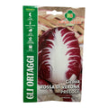 Cicoria Rossa Di Verona Precoce gr.12 Semi Royal Seeds