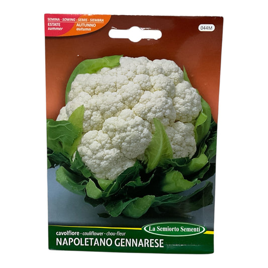 Cavolfiore Napoletano Gennarese gr.4 Semi La Semiorto Sementi