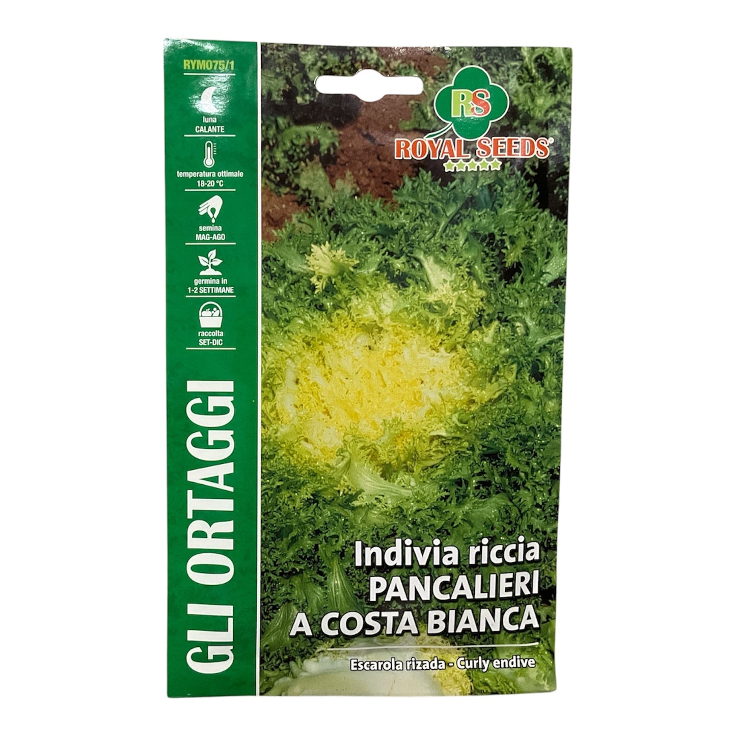 Indivia Riccia Pancalieri A Costa Bianca Semi Royal Seeds