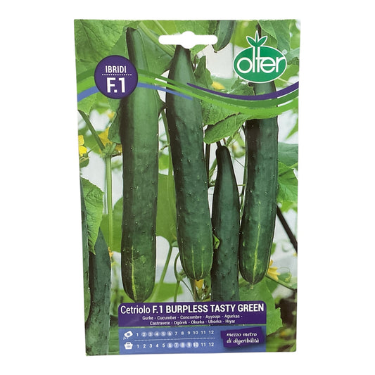 Cetriolo F1 Burpless Tasty Green gr.8 Semi Olter