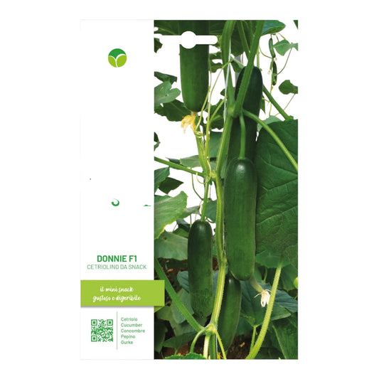 Cetriolo Donnie F1 Cetriolino Da Snack Semi Blumen