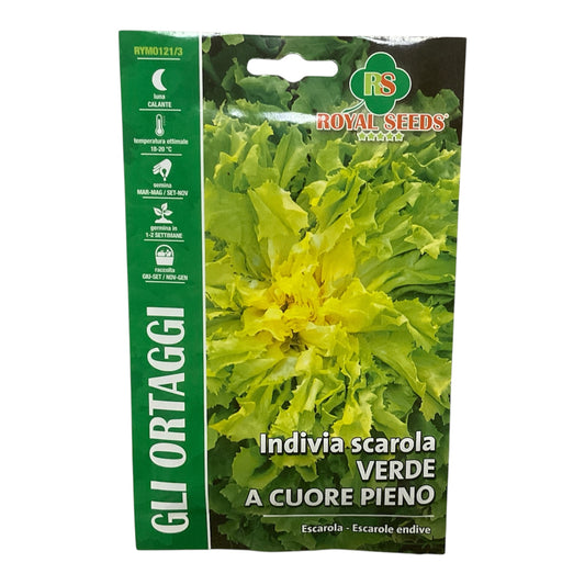 Indivia Scarola Verde A Cuore Pieno gr.8 Semi Royal Seeds