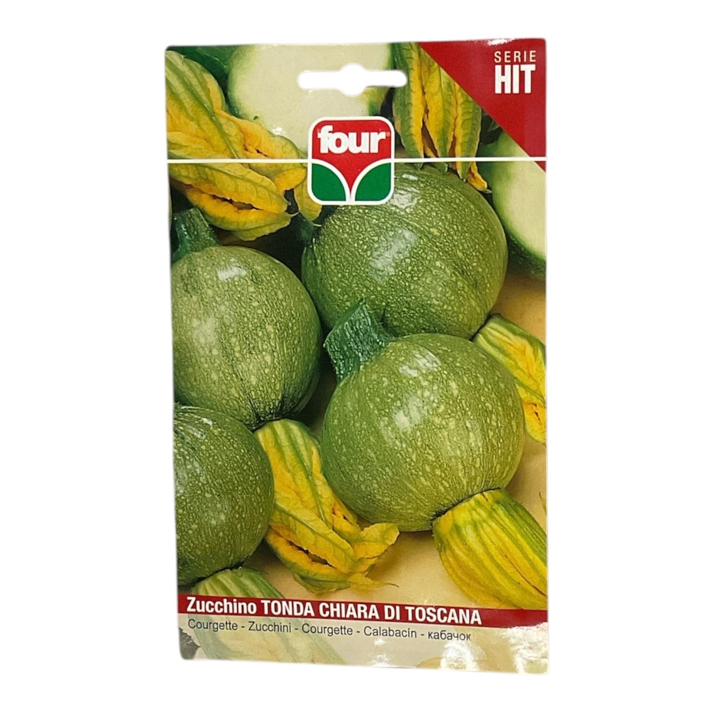 Zucchino Tonda Chiara di Toscana Semi Four