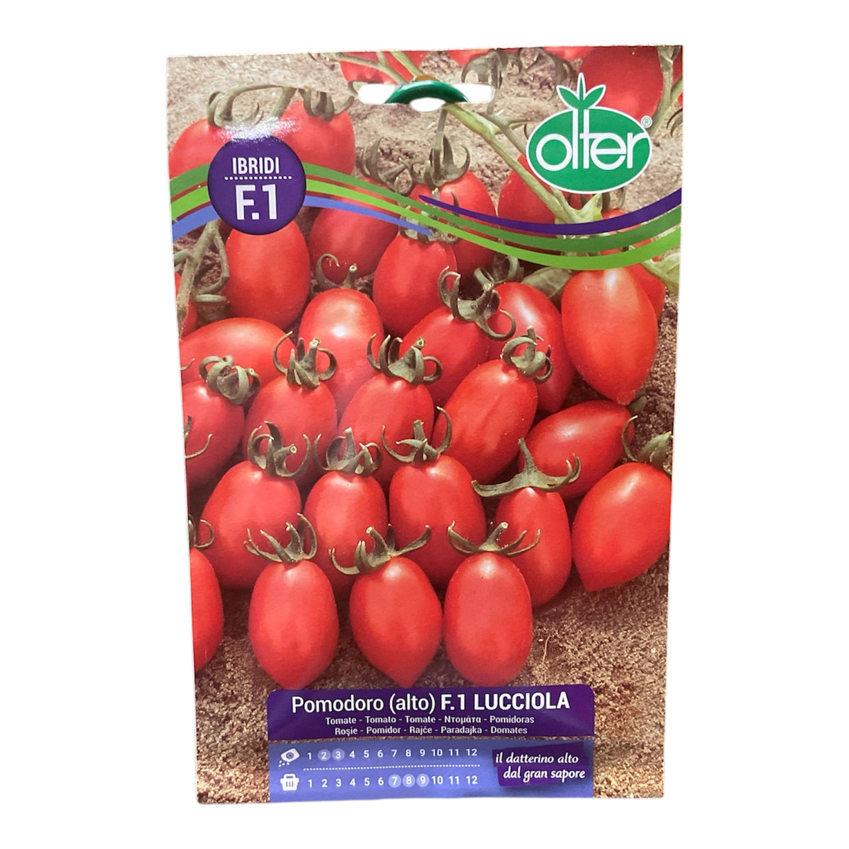 Pomodoro alto F.1 Lucciola Ibrido Semi Olter