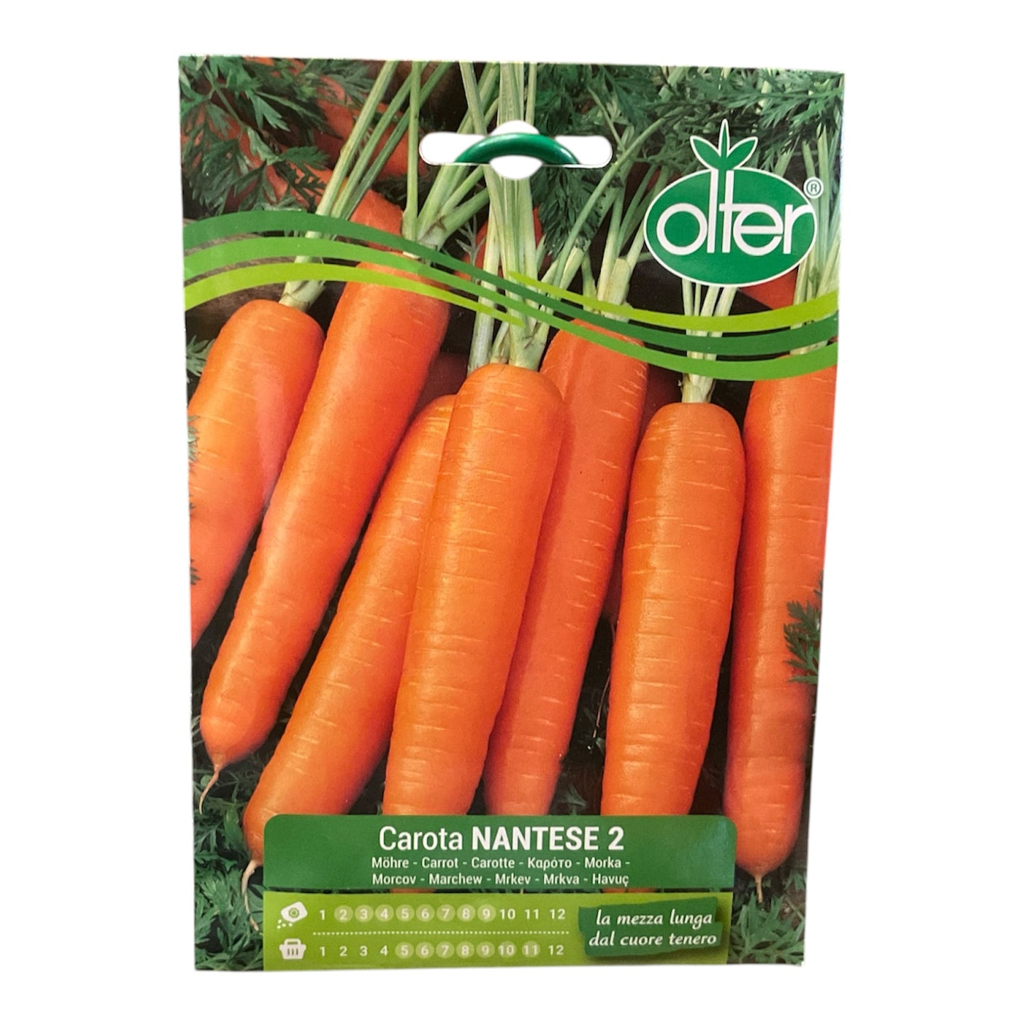 Carota Nantese 2 Semi Olter