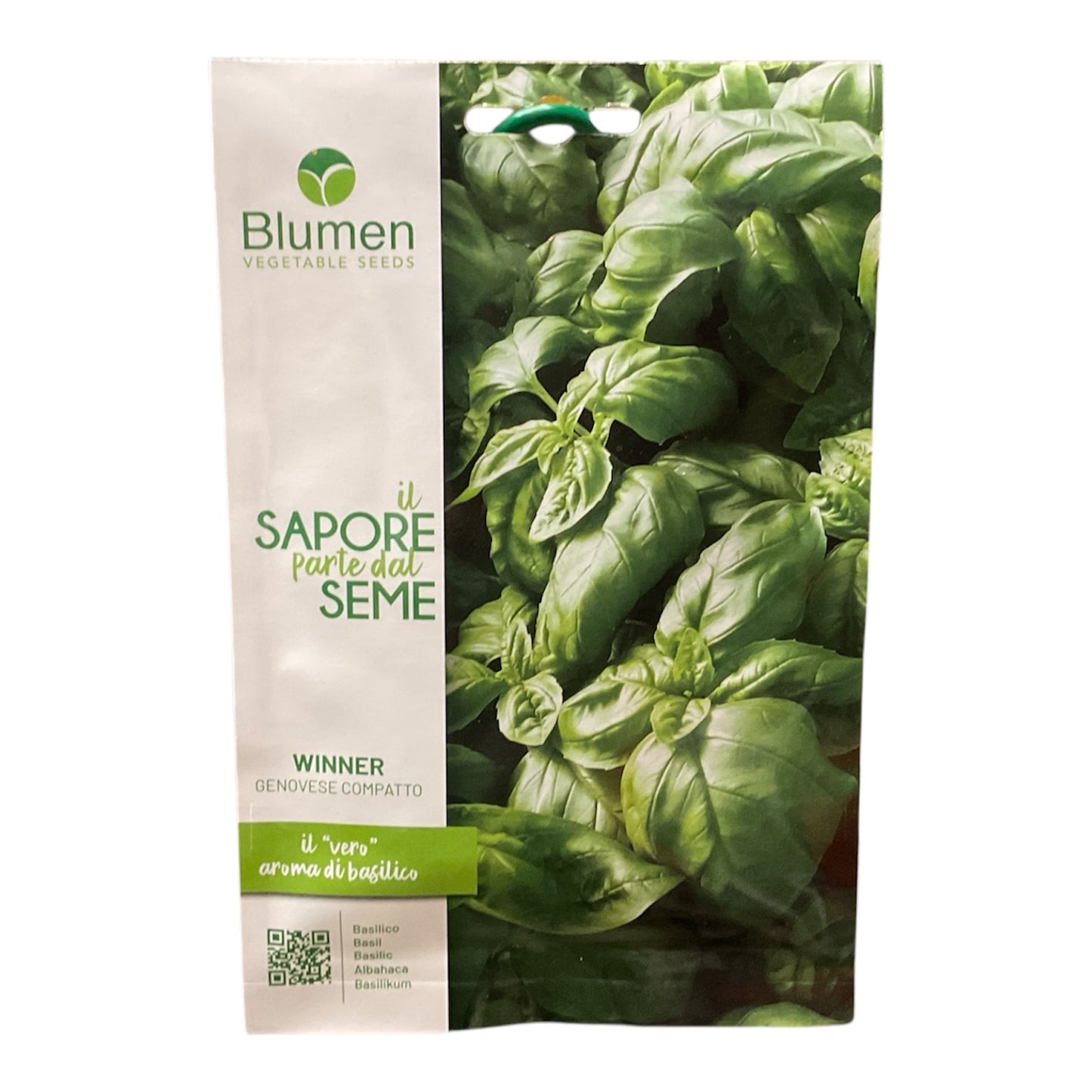 Basilico Genovese Compatto Semi Blumen