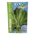 Cicoria Spadona Semi Royal Seeds