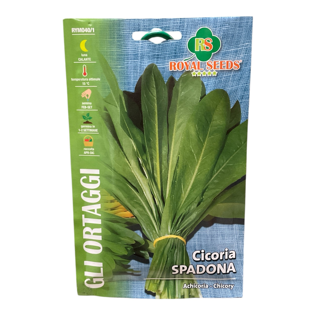 Cicoria Spadona Semi Royal Seeds