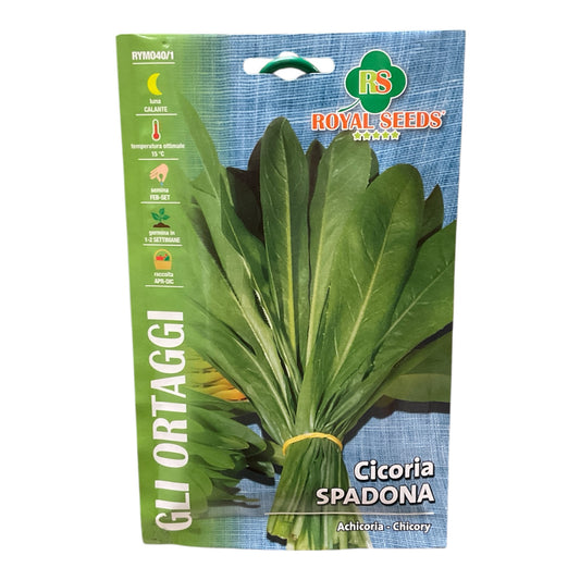 Cicoria Spadona Semi Royal Seeds