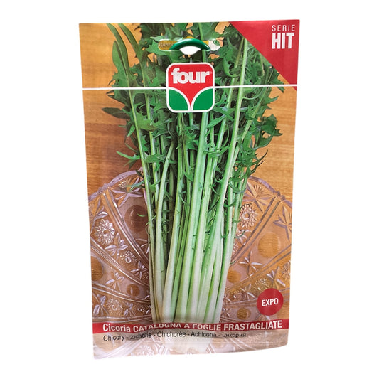 Cicoria Catalogna A Foglie Frastagliate Semi Four