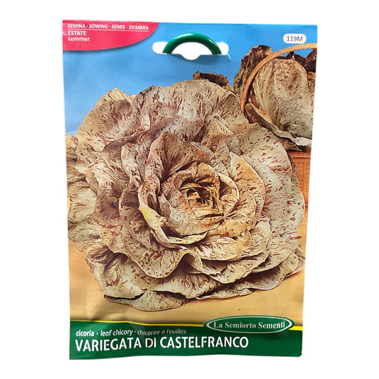 Cicoria Variegata Di Castelfranco Semi La Semiorto Sementi