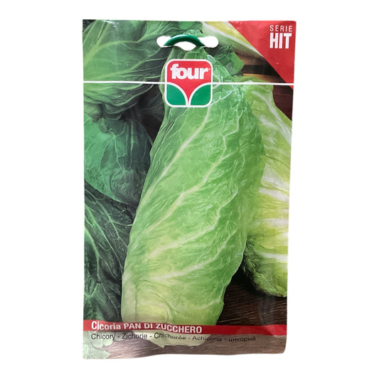 Cicoria Pan Di Zucchero Semi Four