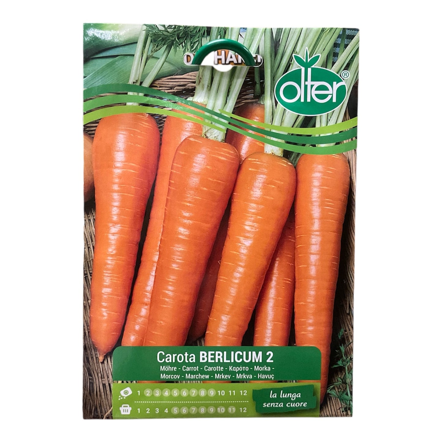 Carota Berlicum 2 Semi Olter