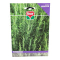 Rosmarino Pianta Aromatica Semi Four