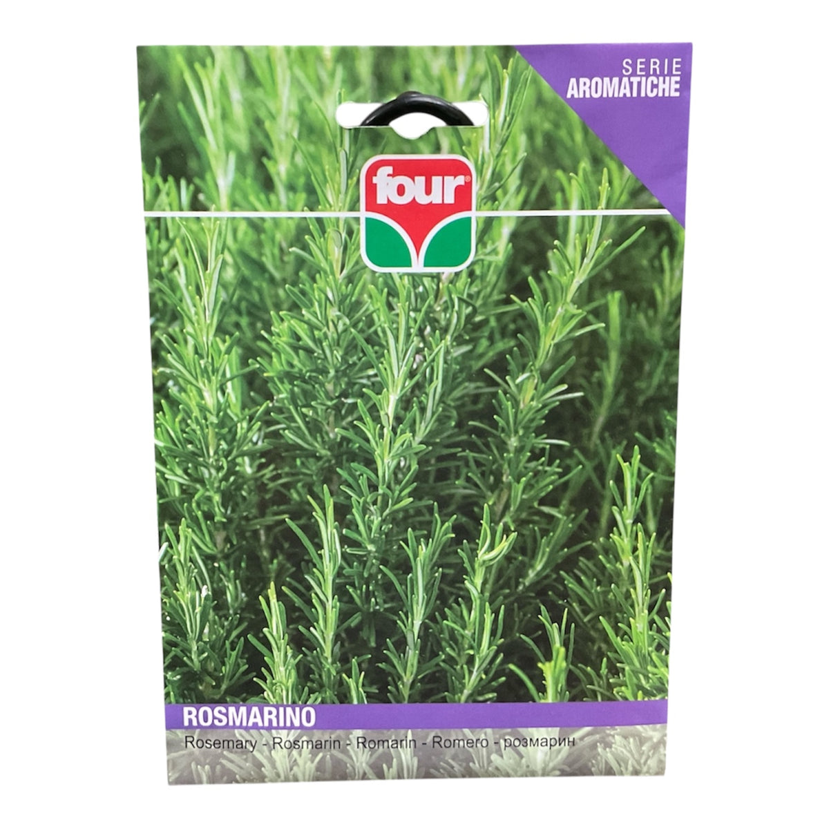 Rosmarino Pianta Aromatica Semi Four